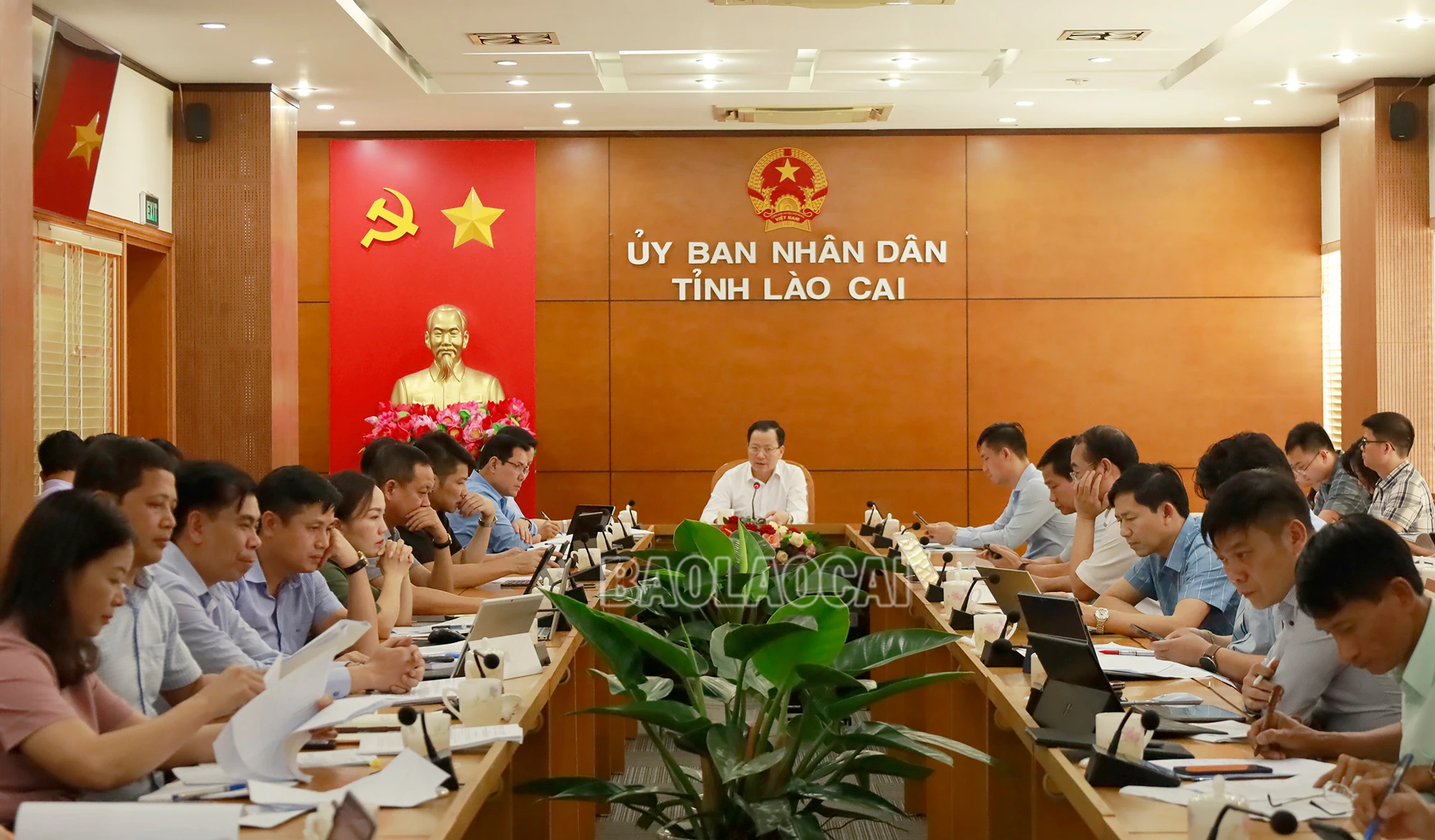 CTMT1.jpg