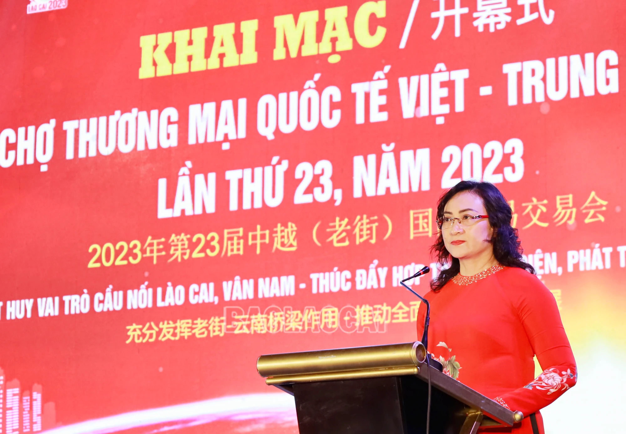 KMHC (8).JPG