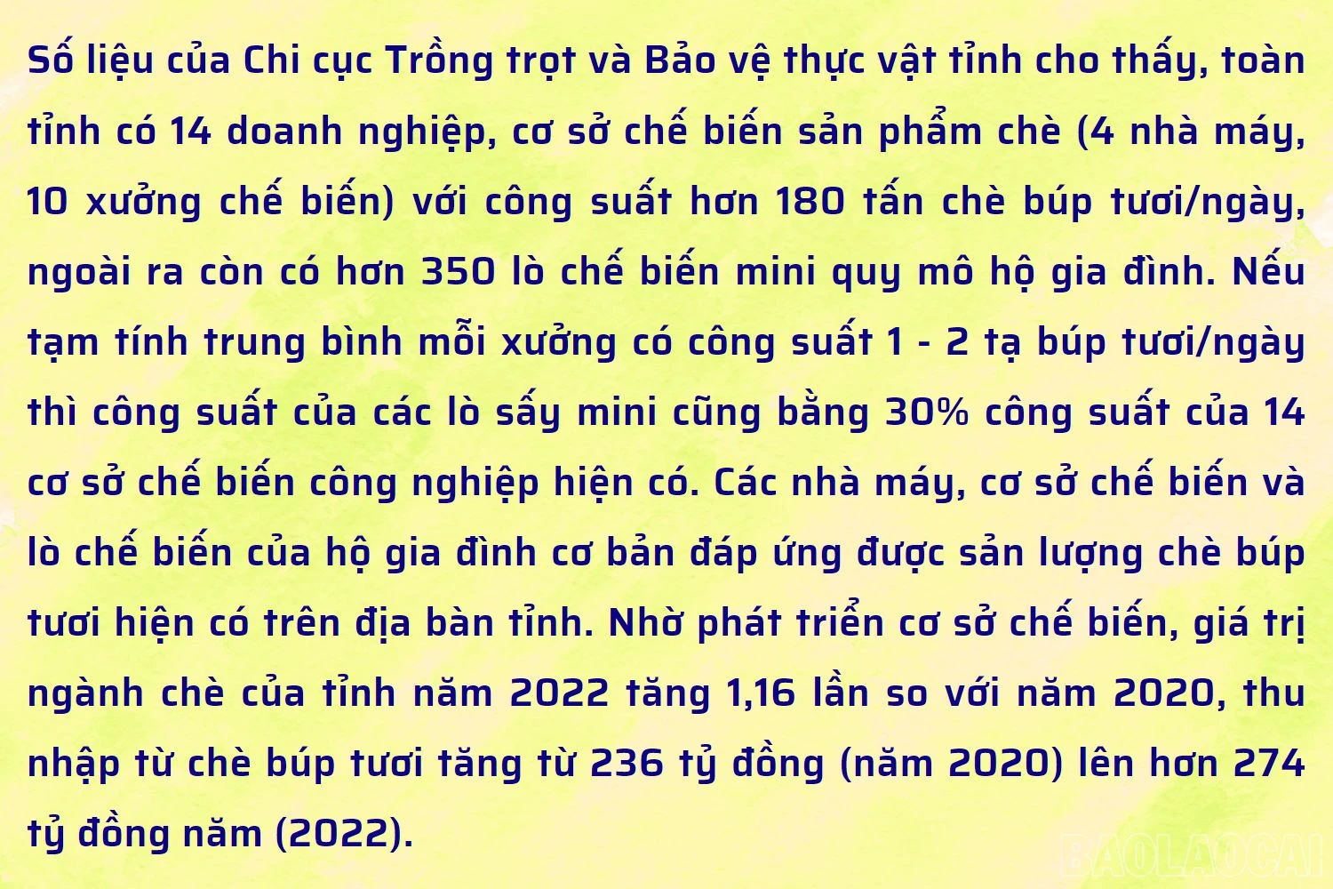 baolaocai_chebien3.jpg