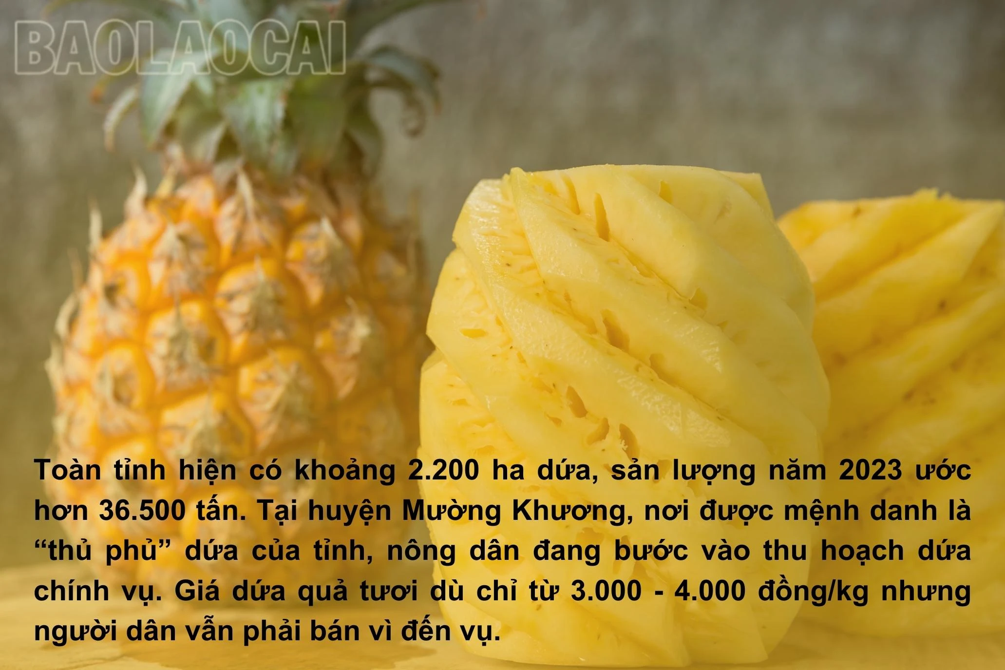 Dua2.jpg