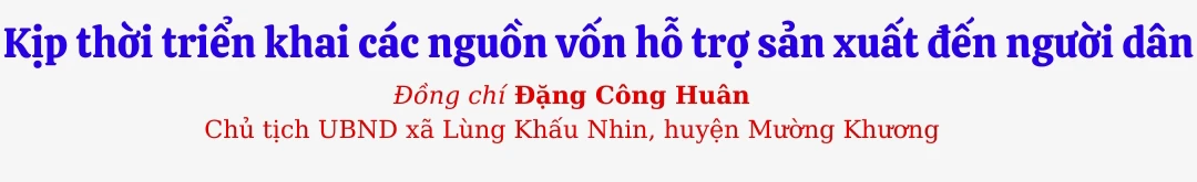 LKN1.jpg