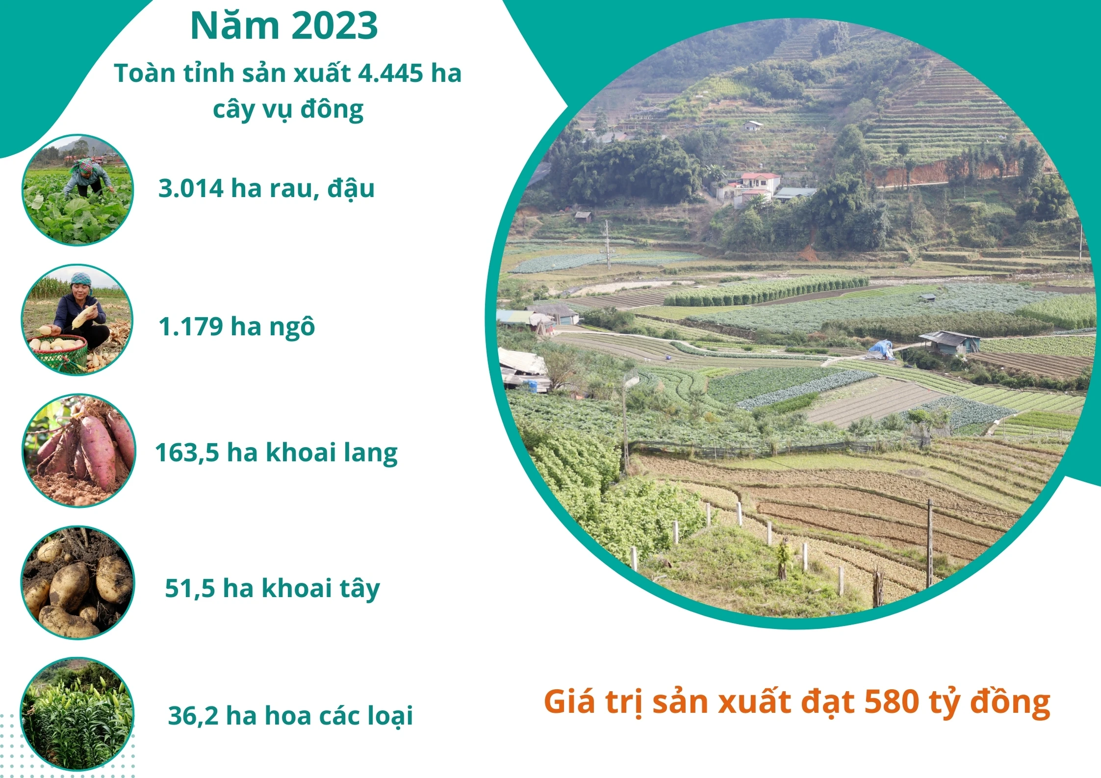 Vudong (1).jpg