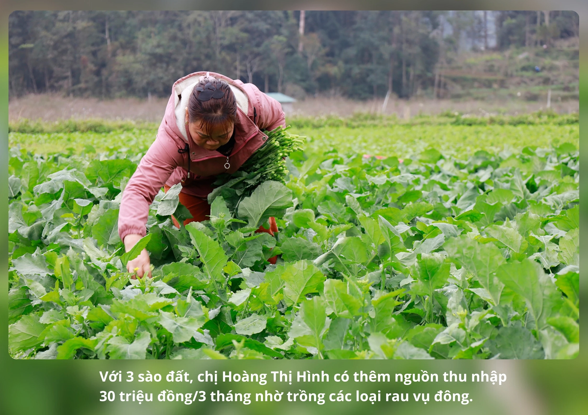 Vudong (2).jpg