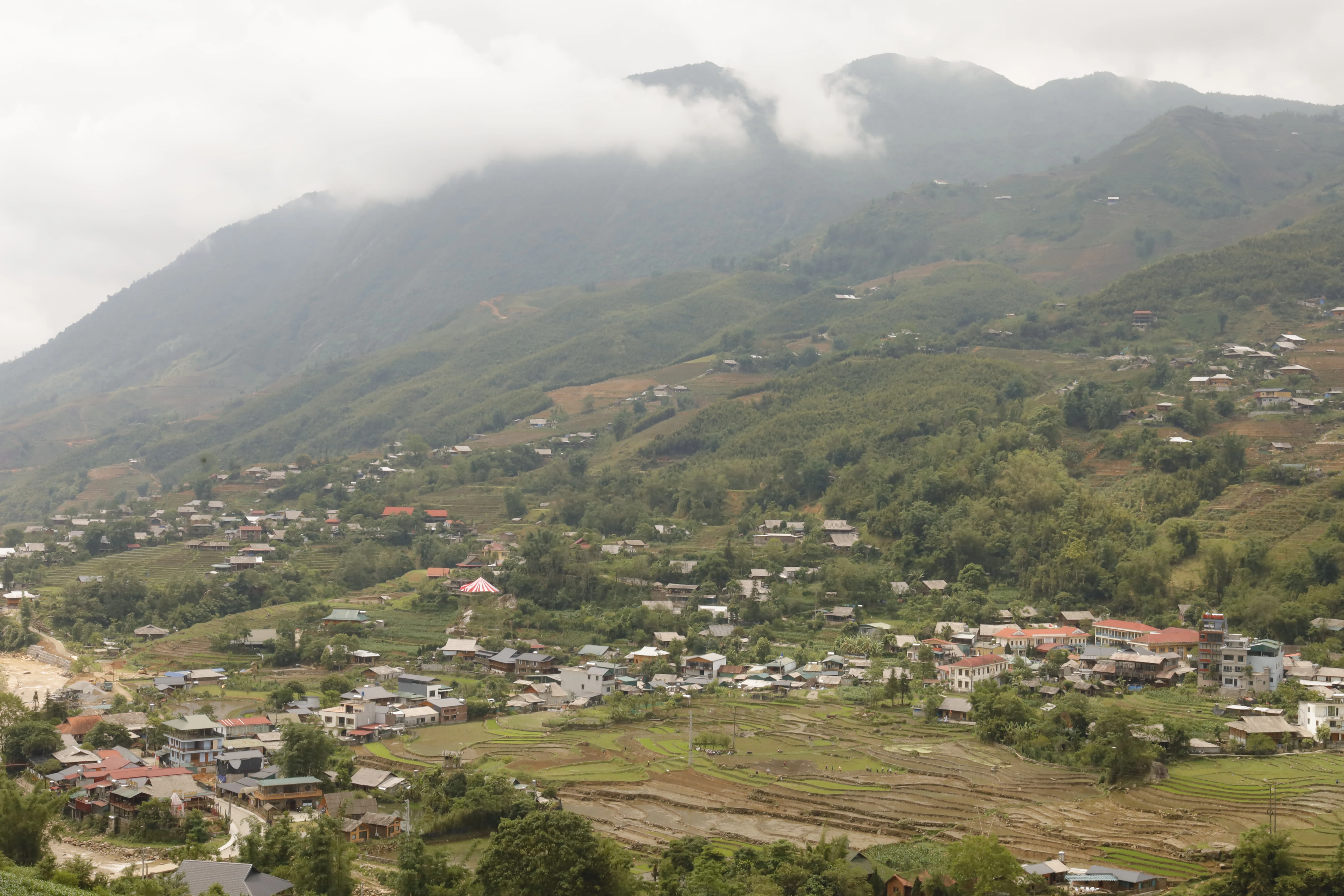 _MG_1820.JPG