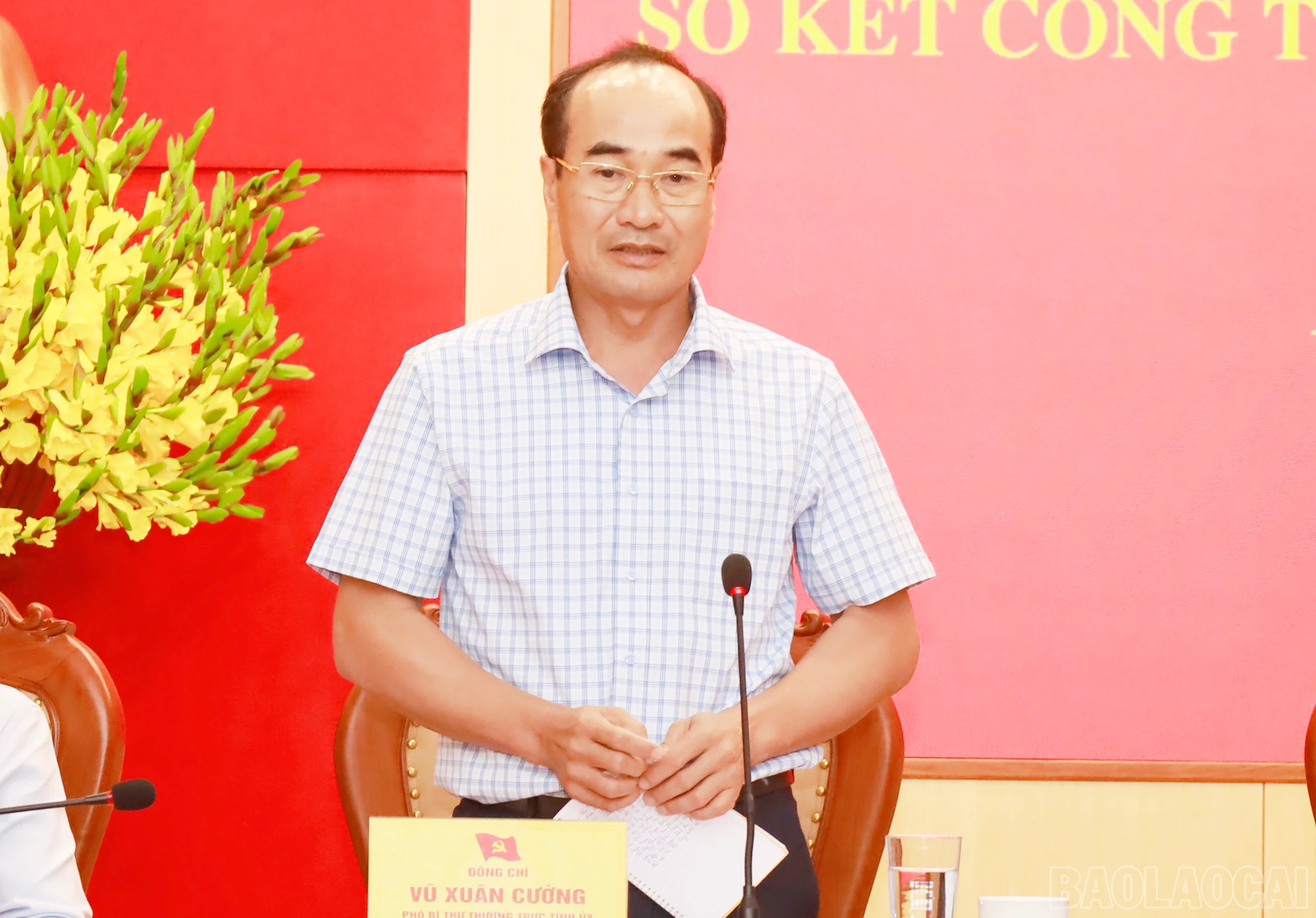 baolaocai_HH7.jpg