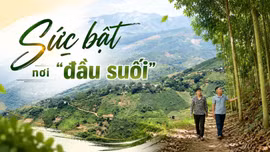 Sức bật nơi “đầu suối”