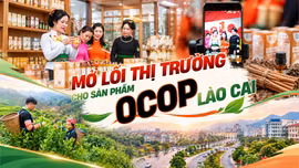 Mở lối thị trường cho sản phẩm OCOP Lào Cai