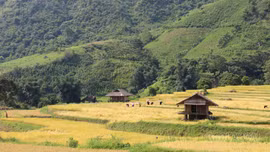 Kho "no ấm" dưới chân núi Sinh Tcha Pao