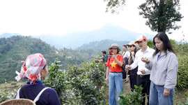 Từ sức hút truyền thông đến sinh kế bền vững ở Bản Liền