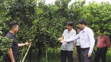 Đại hội sẽ đề ra những quyết sách phát triển kinh tế vùng nông thôn, miền núi