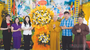 Phó Chủ tịch UBND tỉnh Vũ Thị Hiền Hạnh thăm, chúc mừng chức sắc Phật giáo