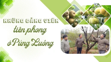 Những đảng viên tiên phong ở Púng Luông