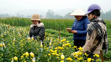 Từ vườn hoa đến những con đường xuân ở Chấn Thịnh