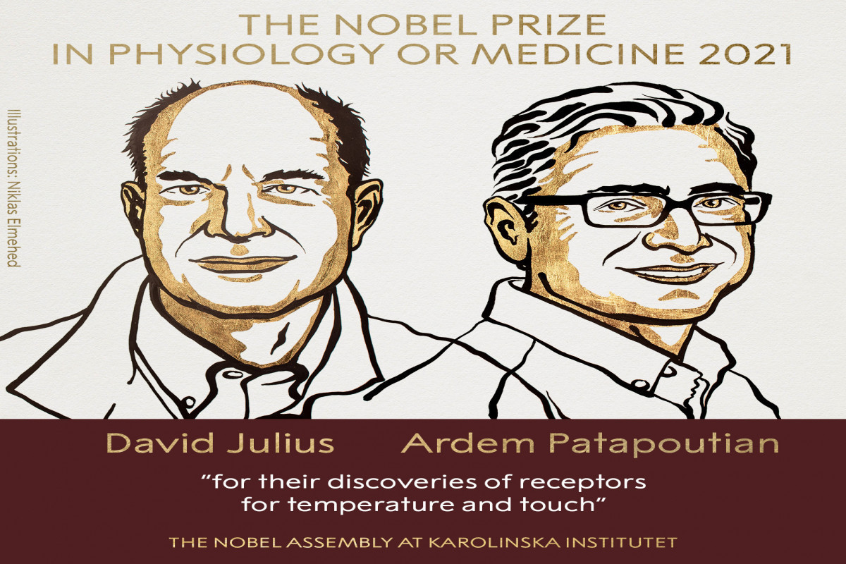 Giải Nobel Y học năm 2021 vinh danh hai nhà khoa học người Mỹ David Julius và Ardem Patapoutian ảnh 1 Chú thích ảnh