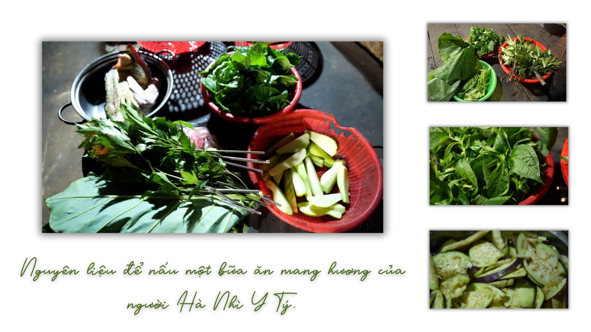 ban-giao-huong-huong-vi-ha-nhi-14.jpg