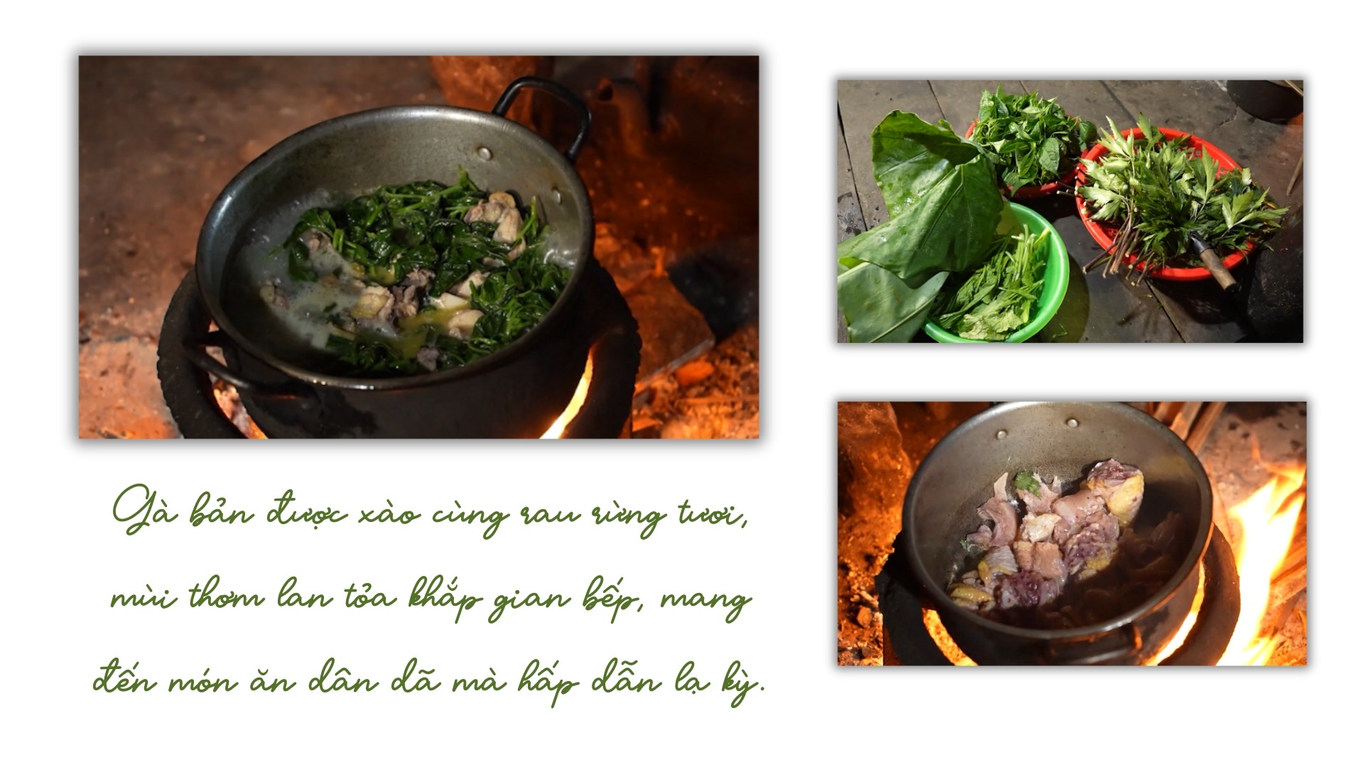 ban-giao-huong-huong-vi-ha-nhi-10.jpg