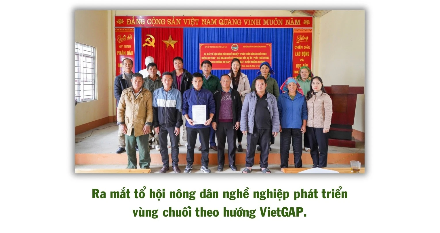 ngo-thu-nhap-bap-benh-trong-khi-chuoi-bi-benh-khien-gia-dinh-anh-ho-gap-kho-417.jpg