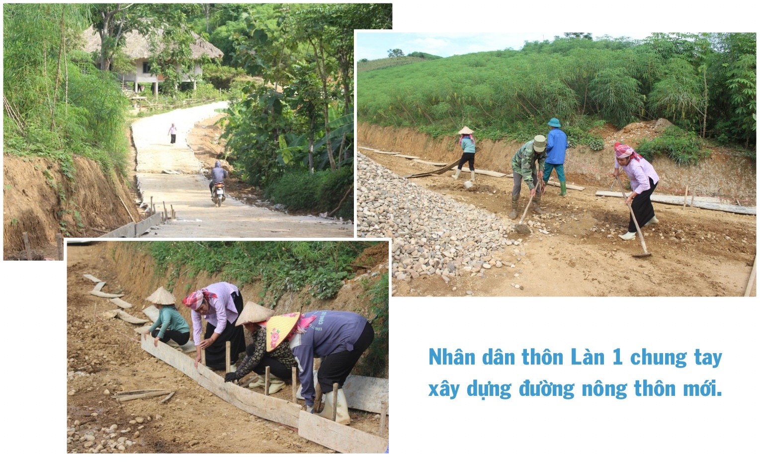 ngo-thu-nhap-bap-benh-trong-khi-chuoi-bi-benh-khien-gia-dinh-anh-ho-gap-kho-378.jpg