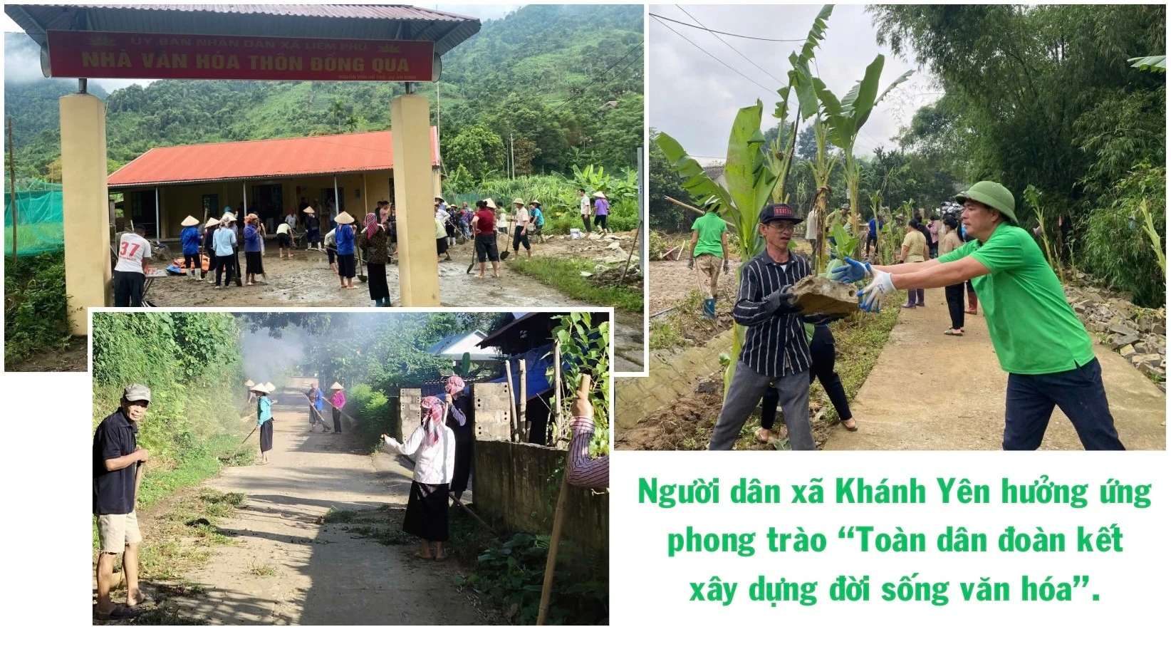 ngo-thu-nhap-bap-benh-trong-khi-chuoi-bi-benh-khien-gia-dinh-anh-ho-gap-kho-4710.jpg