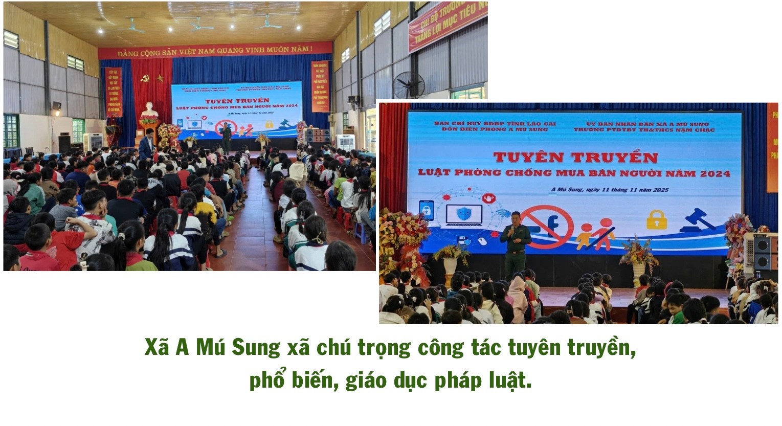ngo-thu-nhap-bap-benh-trong-khi-chuoi-bi-benh-khien-gia-dinh-anh-ho-gap-kho-424.jpg