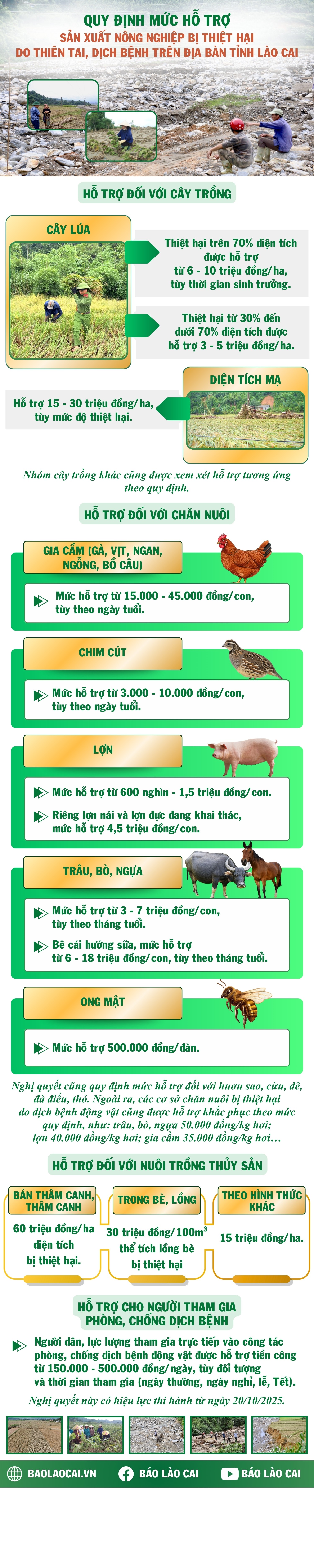 info-nam-6.jpg