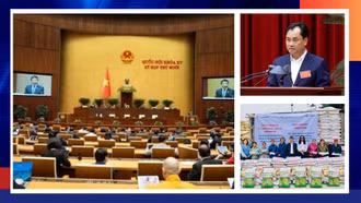 Điểm tin thời sự trong ngày 11/12