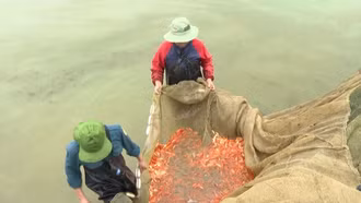 Giá tăng do nguồn cung giảm