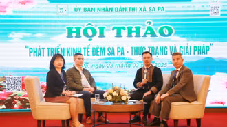 Sa Pa bàn giải pháp phát triển kinh tế đêm