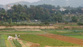 Hợp tác xã làm nông nghiệp giỏi: Đáp số ở Vạn Hòa