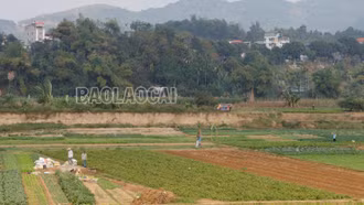 Hợp tác xã làm nông nghiệp giỏi: Đáp số ở Vạn Hòa