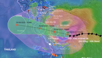 Tập trung phòng, chống, ứng phó với cơn Bão số 5 (KAJIKI)