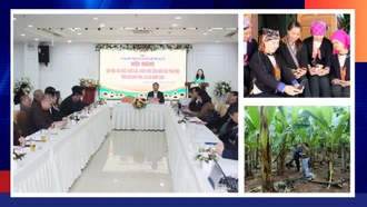 Điểm tin thời sự trong ngày 30/12