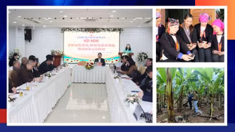 Điểm tin thời sự trong ngày 30/12