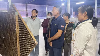 Đẩy mạnh ứng dụng khoa học kỹ thuật, nâng cao hiệu quả nghề trồng dâu nuôi tằm