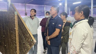 Đẩy mạnh ứng dụng khoa học kỹ thuật, nâng cao hiệu quả nghề trồng dâu nuôi tằm