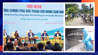 Điểm tin thời sự trong ngày 14/12