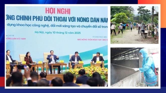 Điểm tin thời sự trong ngày 14/12