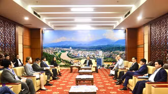 Lãnh đạo tỉnh Lào Cai tiếp xã giao các doanh nghiệp nước ngoài