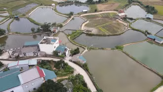 Bảo hiểm nông nghiệp là gì?