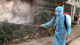 Hơn 2.000 con lợn phải tiêu hủy do dịch tả lợn châu Phi