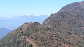 Làm 48,6 km đường băng trắng phòng chống cháy rừng