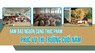 Đảm bảo nguồn cung thực phẩm phục vụ thị trường cuối năm