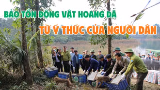 Bảo tồn động vật hoang dã từ ý thức người dân