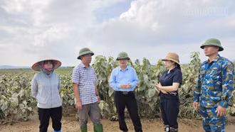 Đoàn công tác Cục Trồng trọt và Bảo vệ thực vật kiểm tra thiệt hại sau bão số 10 tại Lào Cai