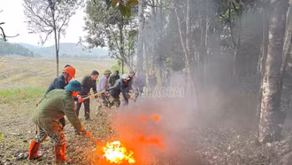 Thực tập phương án phòng cháy, chữa cháy rừng tại xã Mường Hum
