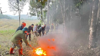 Thực tập phương án phòng cháy, chữa cháy rừng tại xã Mường Hum