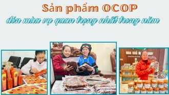 Sản phẩm OCOP đón mùa vụ quan trọng nhất trong năm