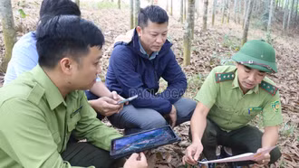 “Gỡ vướng” chi trả dịch vụ môi trường rừng cho hộ gia đình