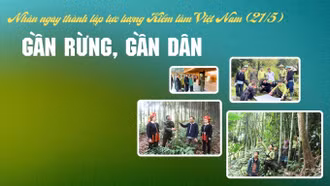  Gần rừng, gần dân