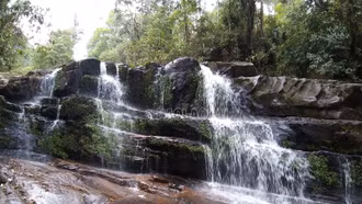 Nâng hạng Khu bảo tồn thiên nhiên Bát Xát thành Vườn quốc gia